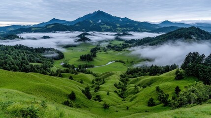 Fototapeta premium Misty valley landscape with rolling hills
