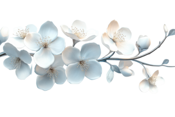 Delicate white flowers on a light background