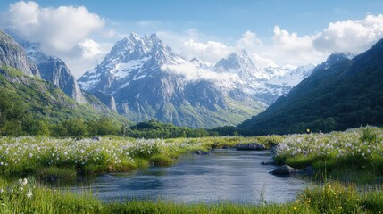 Fototapeta premium A clear river flows through a lush green meadow filled with white wildflowers in a mountain valley under a blue sky.