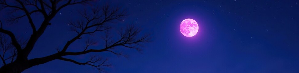 Fototapeta premium Dark purple moon rises above a barren tree branch against the starry night sky, atmosphere, dark sky
