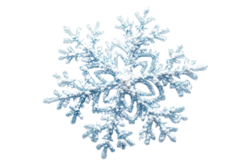 Snowflake with intricate patterns and blue hues