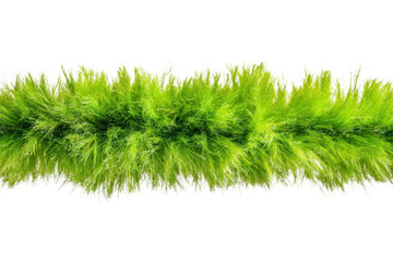 Bright green grass border for creative designs, cut out