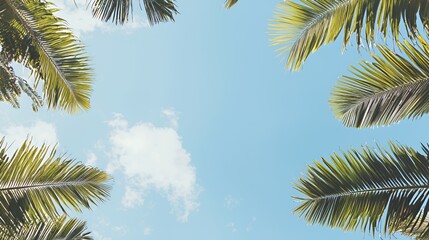 Fototapeta premium Overhead View of Lush Green Palm Trees Against a Bright Blue Sky with Fluffy White Clouds