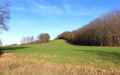 Fototapeta premium German countryside in Saxony