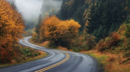 Fototapeta premium Serene Autumnal Drive: Misty Mountain Road