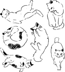 Fototapeta premium cute cats outline and text elements design for templates.