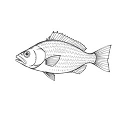 Fototapeta premium Elegant Line Art Illustration of a Fish in Timeless Scratchboard Style, Generative AI Raster Art on White Background