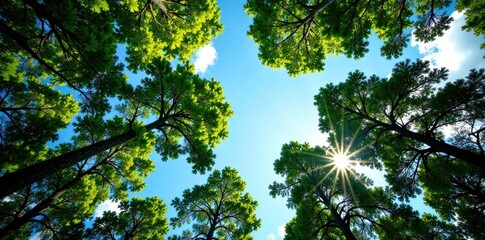 Fototapeta premium Dense foliage of tall trees silhouetted against a blue sky, with green leaves and branches stretching towards the heavens , wildlife, blues, landscape