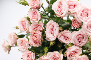 Close-up, bouquet of small pink roses on a white background.