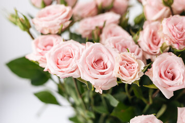Close-up, bouquet of small pink roses on a white background.