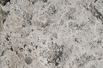 Detailed close-up of textured concrete surface showcasing natural patterns and imperfections found in construction materials