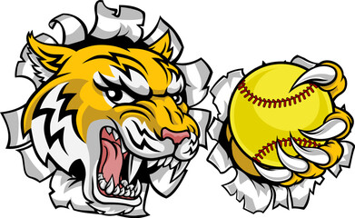 A wildcat or bobcat lynx bobcats wildcats sports team softball ball mascot