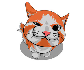 SMILE ORANGE CAT