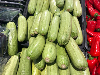 Delicious fresh zucchini vegetable. Ripe vegetables. Autumn harvest.