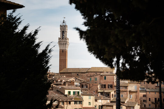 The beautiful Siena in Tuscany, Italy