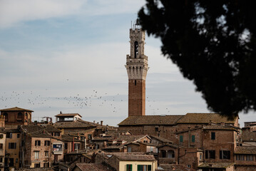 Obraz premium The beautiful Siena in Tuscany, Italy