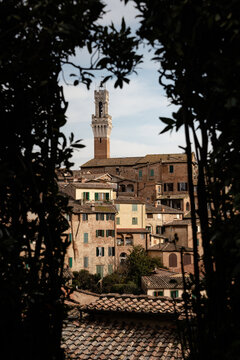 The beautiful Siena in Tuscany, Italy