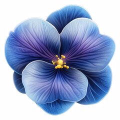 Realistic illustration of a single blue African violet flower with soft gradient petals and yellow stamens, isolated on transparent background.