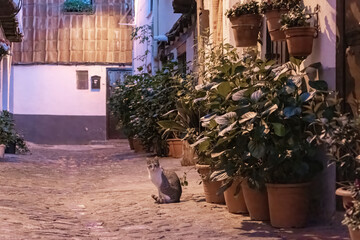 Beautiful nightfall view of a typical and narrow street in the Jewish Quarter of Hervás at night,  one of the best preserved in Spain, an Ambroz Valley village at Caceres, Extremadura, Spain. 