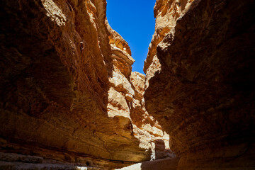 Oasi e canyon di Tamaghza, regione di Tezeur
