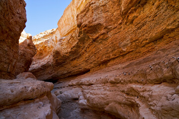 Oasi e canyon di Tamaghza, regione di Tezeur