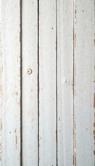 Naklejka premium Distressed Wood Panel with White Wood Texture, panel texture, weathered wood