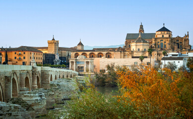view from the guadalquivir river on the ancient roman bridge and the mesquita of cordoba