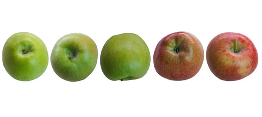 apples stand in a row on a white background