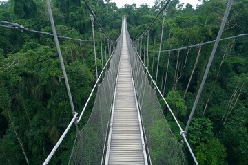 Obraz premium Rustic Wooden Suspension Bridge Across Lush Rainforest Canopy