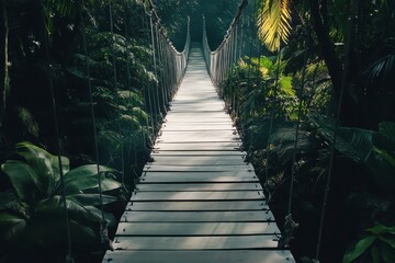 Fototapeta premium Sun Dappled Wooden Bridge in Lush Green Jungle