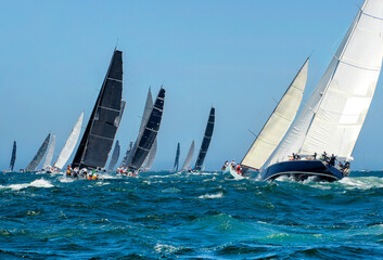 Sailing yachts regatta. Yachting. Sailing race	