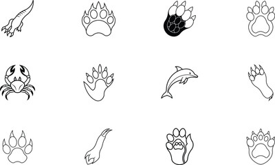 Animal Tracks, Paws, Claws, Prints Wildlife Identification Guide