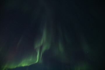 Aurora borealis horizontal landscape polar north Greenland Finland boeialis nightscape green mountains forest night beautiful nature phenomenon lights 3d illustration rays winter ethereal sky blur