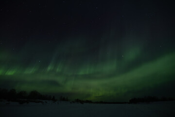 Aurora borealis horizontal landscape polar north Greenland Finland boeialis nightscape green mountains forest night beautiful nature phenomenon lights 3d illustration rays winter ethereal sky blur