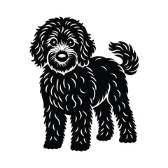 black and white puppy