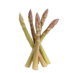 Asparagus Stalks Symbol on White Background