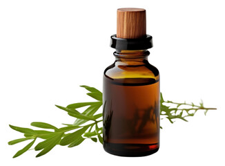 PNG Essential oil bottle perfume plant herbs.