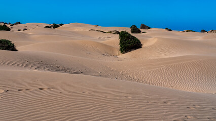The sand dunes near Essaouira Morocco Africa 