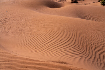 The sand dunes near Essaouira Morocco Africa 
