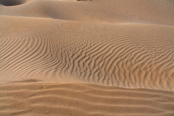 The sand dunes near Essaouira Morocco Africa 