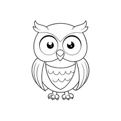owl on white background