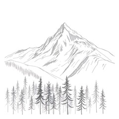 Hand-Drawn Sketch of a Majestic Mountain Landscape with a Dense Pine Forest in the Foreground – Detailed Nature Illustration