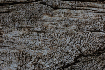 old wood background close up