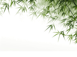 Fototapeta premium PNG Bamboo trees backgrounds nature plant.