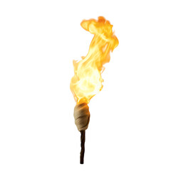 DIY Torch with Glowing Flame Isolated on Transparent Background