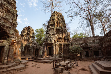 Old temple ruins in the forest, Ta Prohm, Angkor Wat, Cambodia