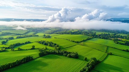 Obraz premium Aerial view of green fields, rolling hills, and morning fog