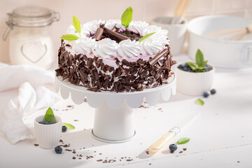 Tasty blueberry cake served as dessert for summer.