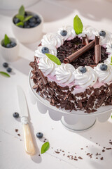 Tasty blueberry cake with berries and whipped cream.
