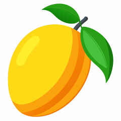 mango fruit vector illustration